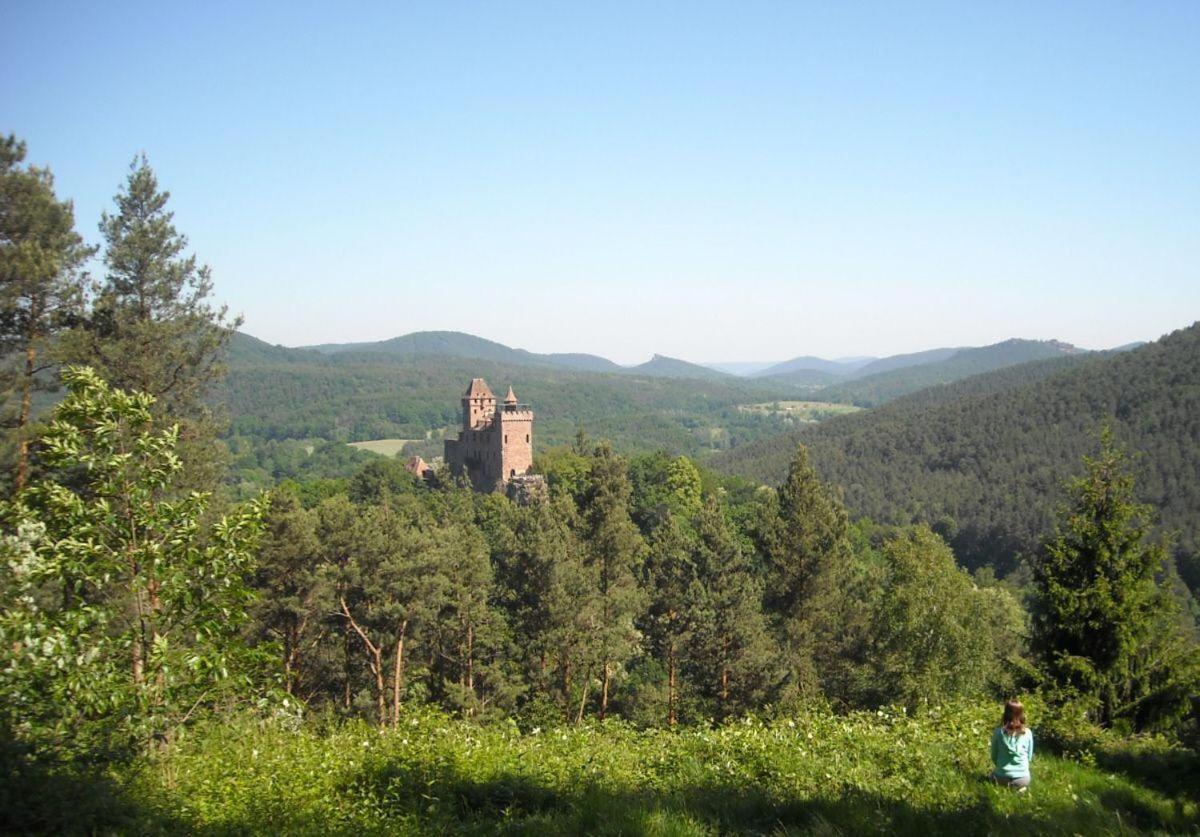 Ferienwohnung "Monte Noble" Suedpfalz Erlenbach  Extérieur photo